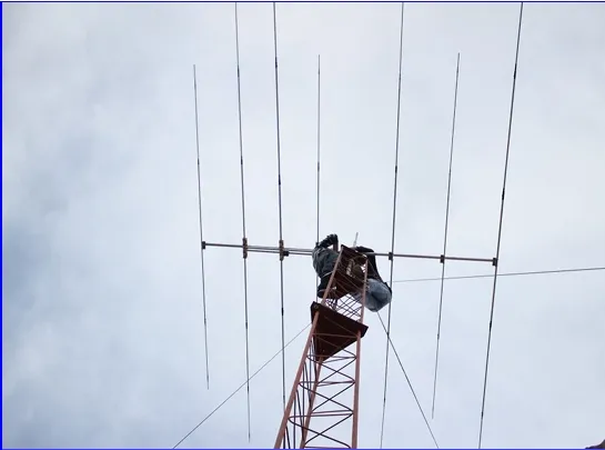 10/15/20 Yagi Tribanda